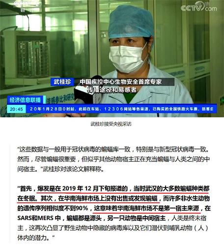 '图：中国疾控中心专家武桂珍接受央视采访指出：直接传染人的不是蝙蝠，源头也不在海鲜市场。（网路截图）'